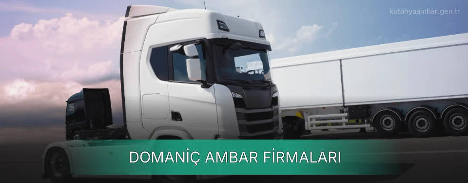 Domaniç Ambar Taşımacılık