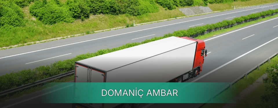 Domaniç Ambar